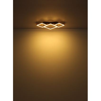 Globo - LED φωτιστικό οροφής LED/24W/230V + LED/8W 3000K 31x61cm
