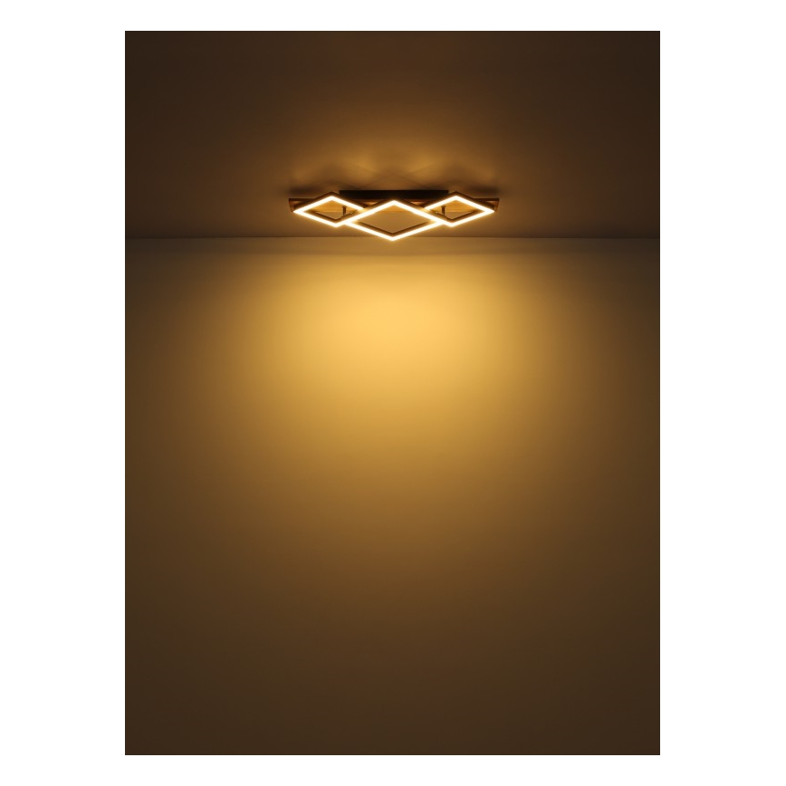 Globo - LED φωτιστικό οροφής LED/24W/230V + LED/8W 3000K 31x61cm