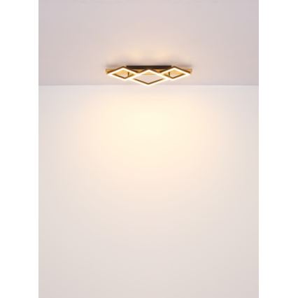 Globo - LED φωτιστικό οροφής LED/24W/230V + LED/8W 3000K 31x61cm