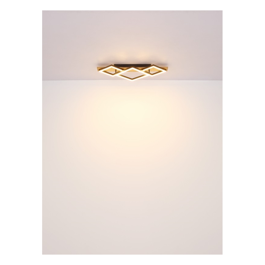 Globo - LED φωτιστικό οροφής LED/24W/230V + LED/8W 3000K 31x61cm