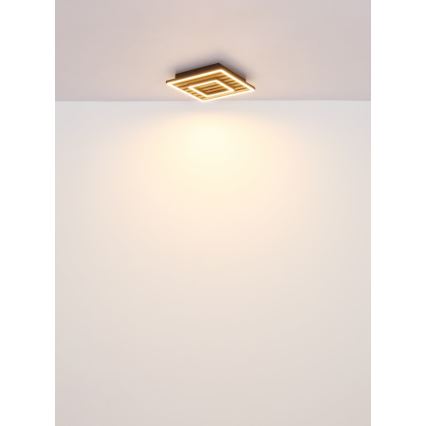 Globo - LED Οροφιαίο φωτιστικό LED/18W/230V 3000K 30x30 cm