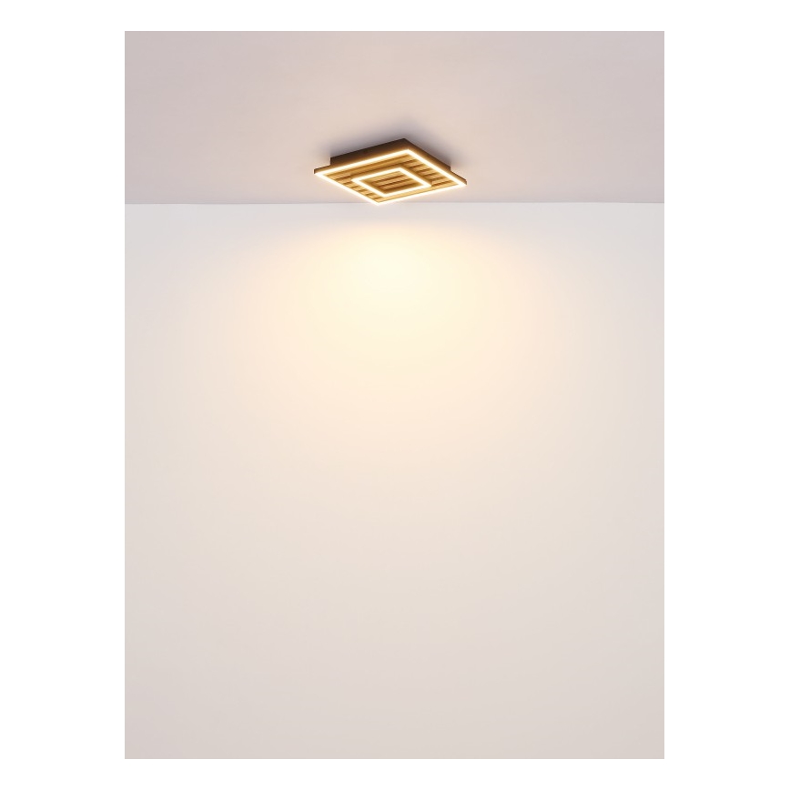Globo - LED Οροφιαίο φωτιστικό LED/18W/230V 3000K 30x30 cm
