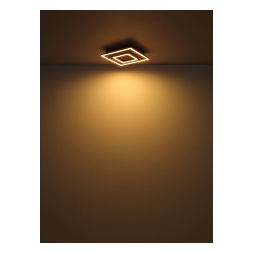 Globo - LED Οροφιαίο φωτιστικό LED/18W/230V 3000K 30x30 cm