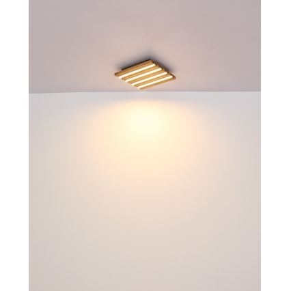 Globo - Φωτιστικό οροφής LED, 15W, 230V, 3000K, 30x30 cm