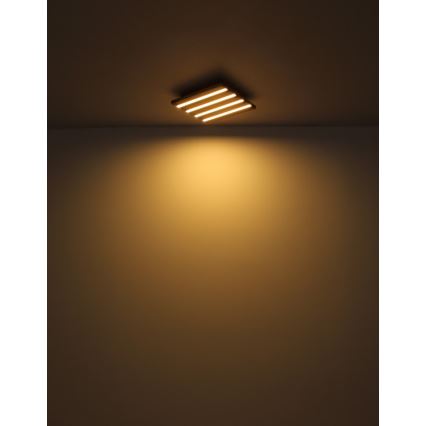 Globo - Φωτιστικό οροφής LED, 15W, 230V, 3000K, 30x30 cm