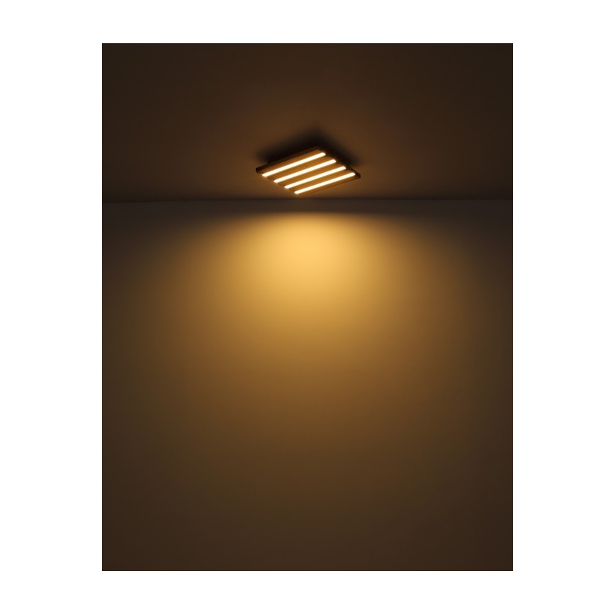 Globo - Φωτιστικό οροφής LED, 15W, 230V, 3000K, 30x30 cm