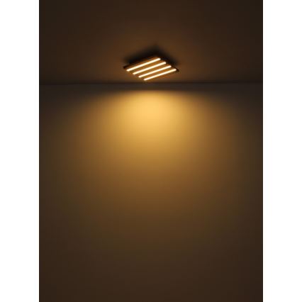 Globo - Φωτιστικό οροφής LED LED/30W/230V 3000K 45x45 cm ξύλο