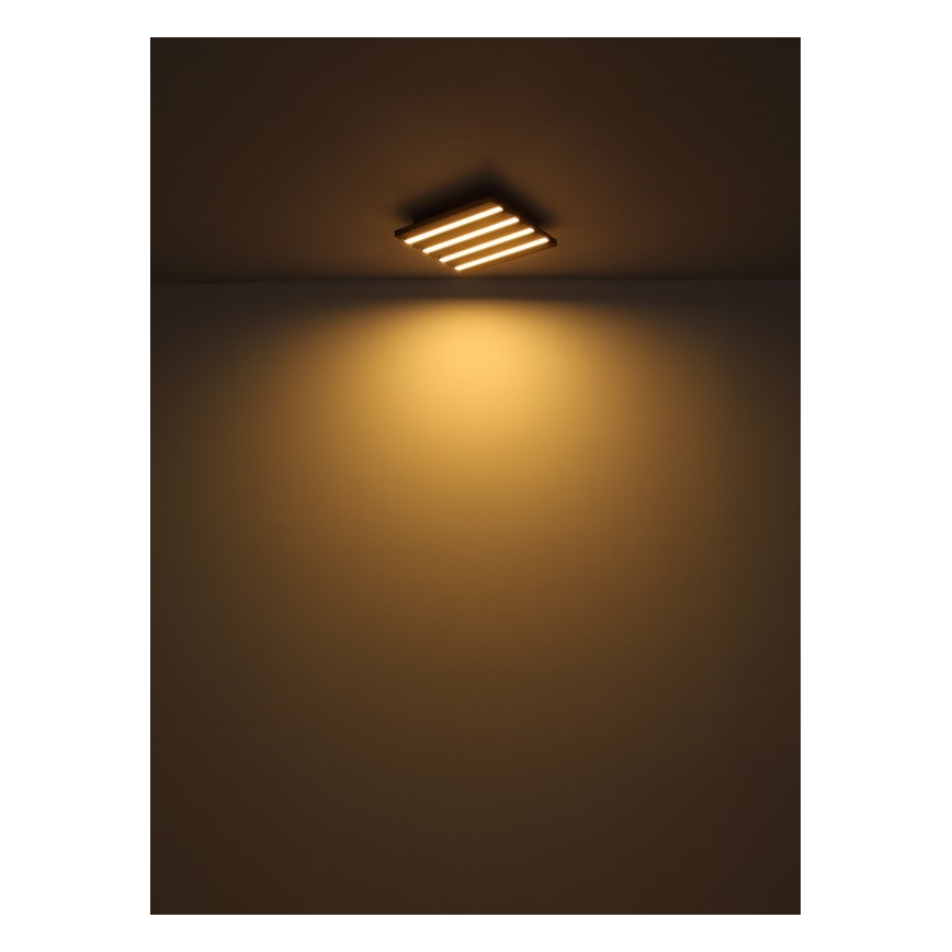 Globo - Φωτιστικό οροφής LED LED/30W/230V 3000K 45x45 cm ξύλο
