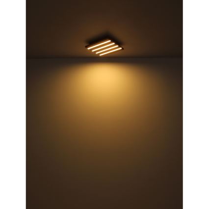 Globo - Φωτιστικό οροφής LED LED/30W/230V 3000K 80x20 cm ξύλο