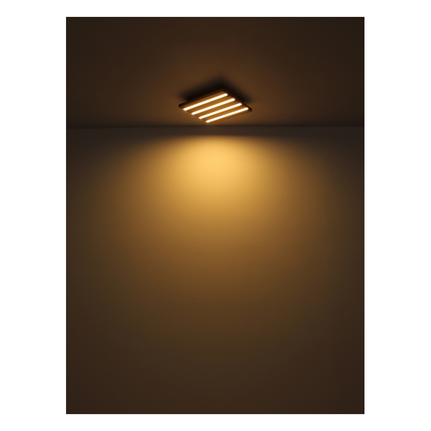 Globo - Φωτιστικό οροφής LED LED/30W/230V 3000K 80x20 cm ξύλο