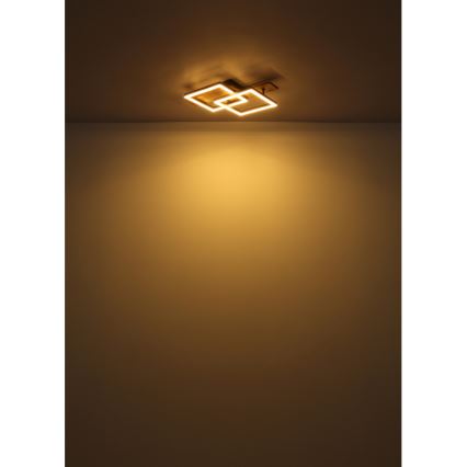 Globo - LED Φωτιστικό οροφής LED/16W/230V 3000K 33x44 cm