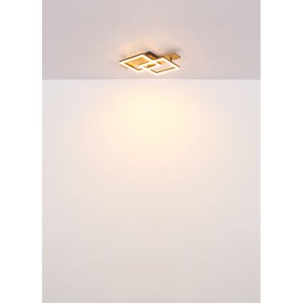 Globo - LED Φωτιστικό οροφής LED/16W/230V 3000K 33x44 cm