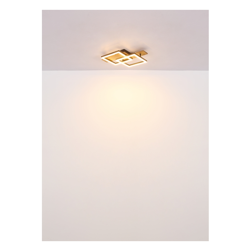 Globo - LED Φωτιστικό οροφής LED/16W/230V 3000K 33x44 cm