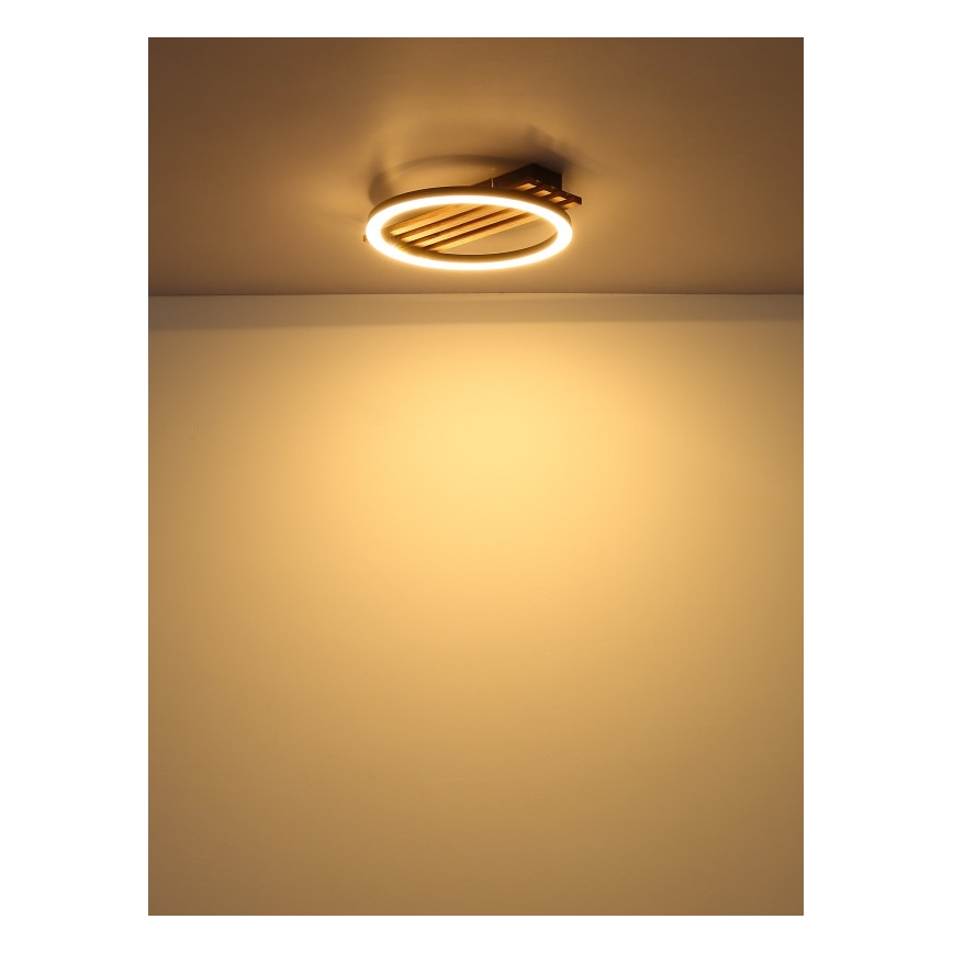 Globo - Φωτιστικό οροφής LED LED/12W/230V 3000K 30x34 cm