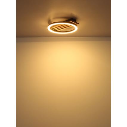 Globo - Φωτιστικό οροφής LED LED/12W/230V 3000K 30x34 cm