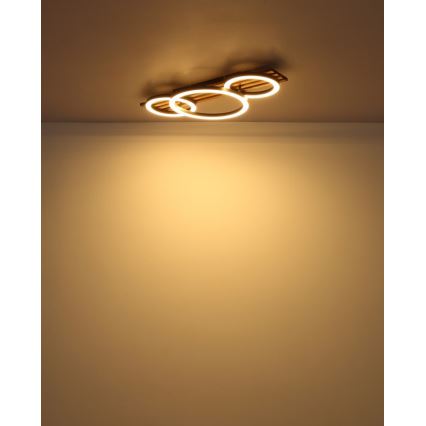 Globo - Φωτιστικό οροφής LED LED/24W/230V 3000K 30x62 cm
