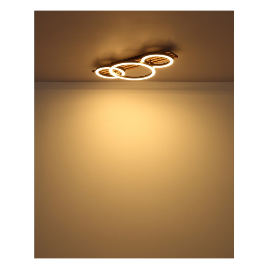 Globo - Φωτιστικό οροφής LED LED/24W/230V 3000K 30x62 cm