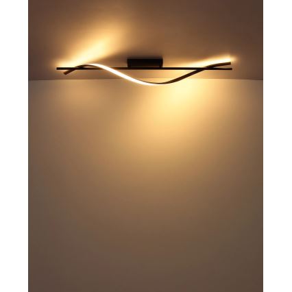 Globo - LED Φωτιστικό οροφής LED/20,5W/230V 3000K