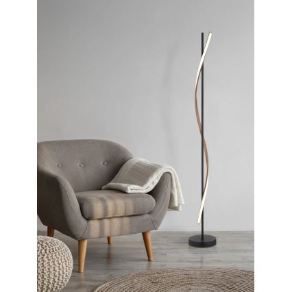 Globo - Επιδαπέδιο φωτιστικό LED/30W/230V 3000K