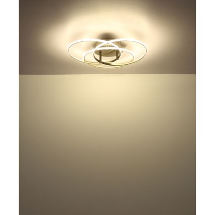 Globo - Φωτιστικό οροφής LED LED/40W/230V 4000K διάμετρος 45,6 cm ματ χρώμιο