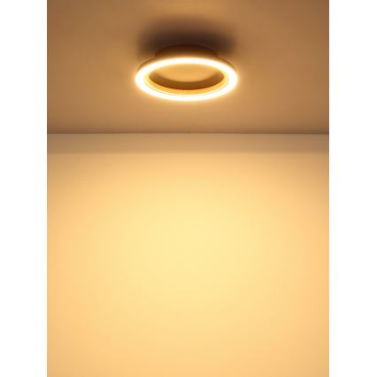 Globo - Φωτιστικό οροφής LED/12W/230V 3000K Ø 20,5 εκ.