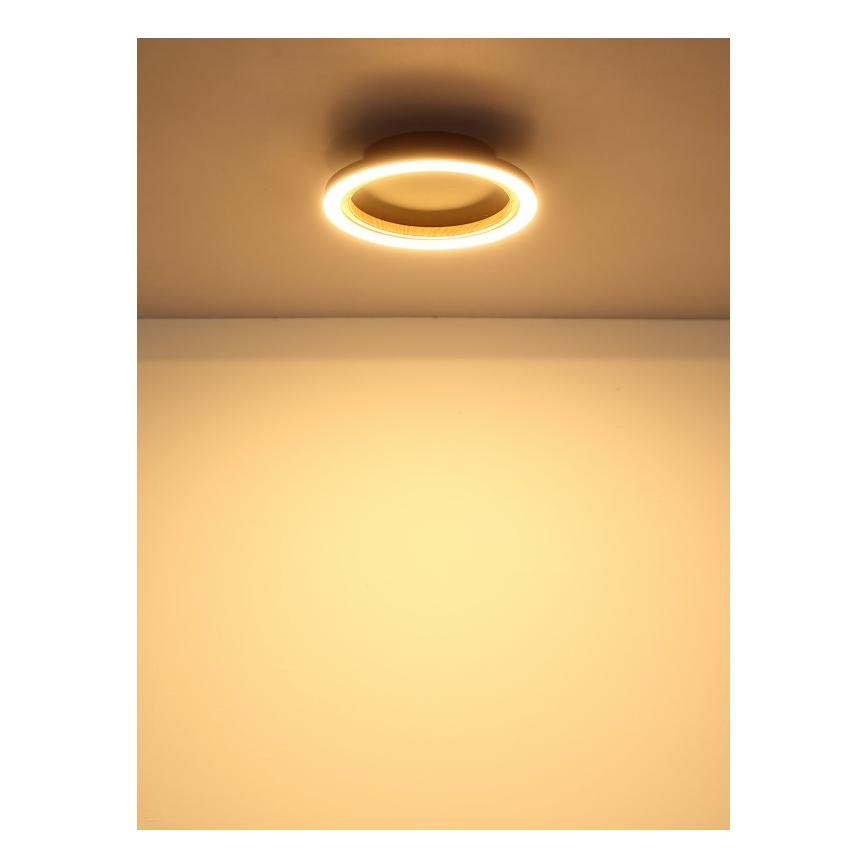 Globo - Φωτιστικό οροφής LED/12W/230V 3000K Ø 20,5 εκ.