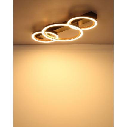Globo - Φωτιστικό οροφής LED/40W/230V 3000K 58x30 cm