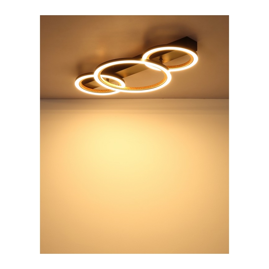 Globo - Φωτιστικό οροφής LED/40W/230V 3000K 58x30 cm