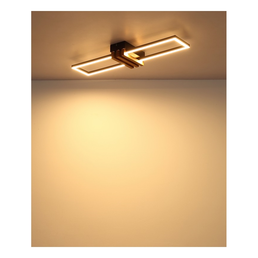 Globo - Φωτιστικό οροφής LED/20W/230V 3000K 60x16,8 cm