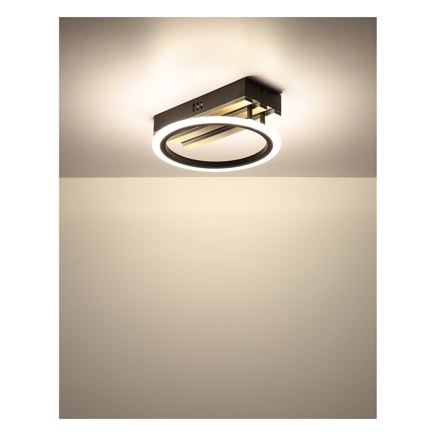 Globo - LED Φωτιστικό οροφής LED/10W/230V 3000/4200/6000K