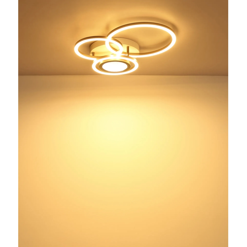 Globo - Φωτιστικό οροφής LED LED/40W/230V 3000K 49x39 cm