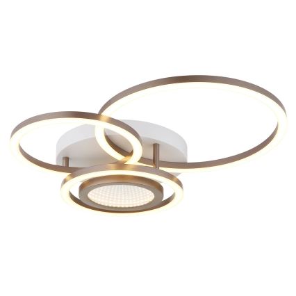 Globo - Φωτιστικό οροφής LED LED/40W/230V 3000K 49x39 cm
