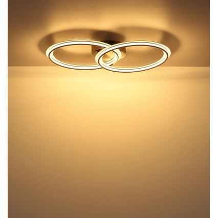 Globo - LED φωτιστικό οροφής LED/30W/230V 3000K 33x54 cm