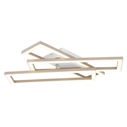 Globo - Φωτιστικό οροφής LED/24W/230V 3000/4000/6000K