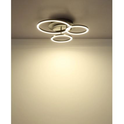 Globo - LED φωτιστικό οροφής LED/40W/230V 4000K 42x46 cm