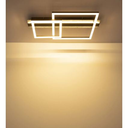Globo - Φωτιστικό οροφής LED 30W/230V 3000K 33x56 cm