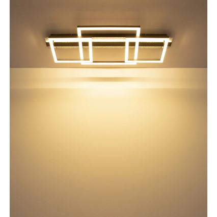 Globo - Φωτιστικό οροφής LED/40W/230V 3000K 33x70 cm