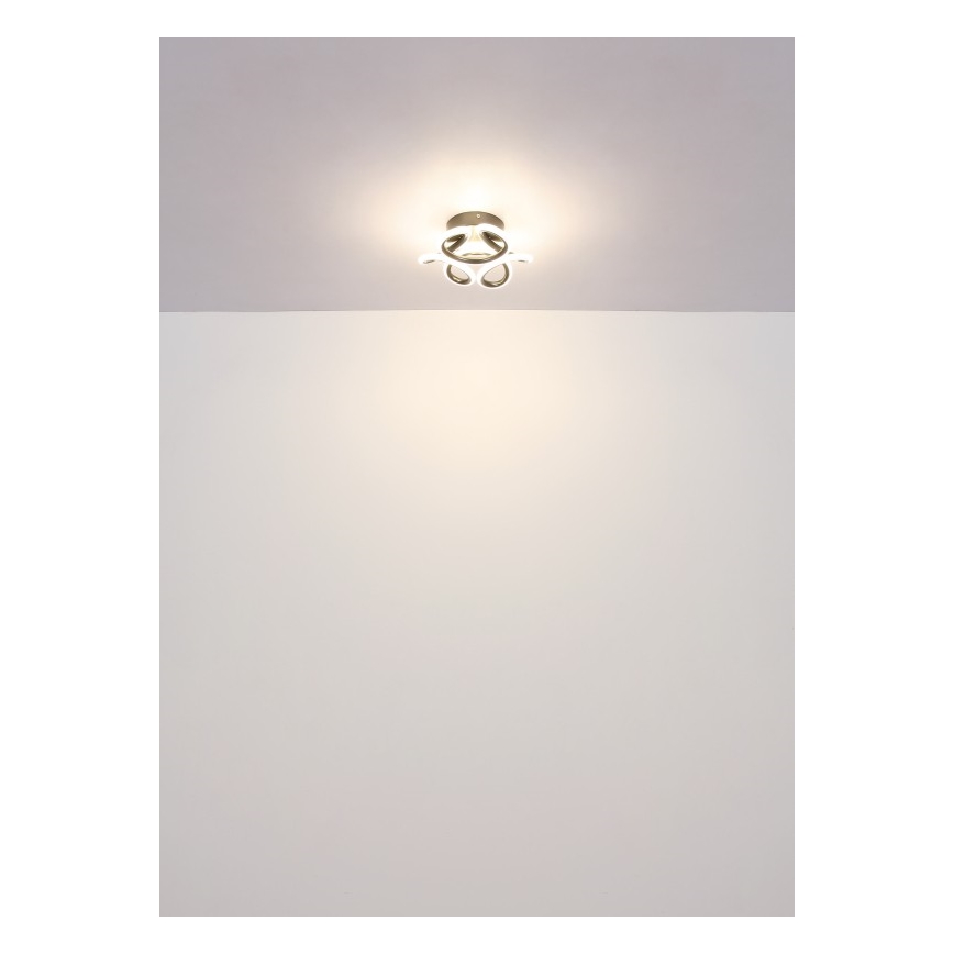 Globo - LED Οροφωτιστικό LED/24W/230V 2700/4000/6000K διάμ. 26 εκ. μαύρο