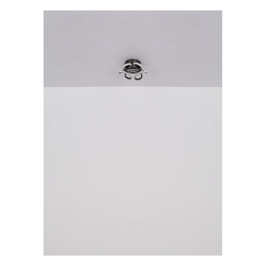 Globo - LED Οροφωτιστικό LED/24W/230V 2700/4000/6000K διάμ. 26 εκ. μαύρο