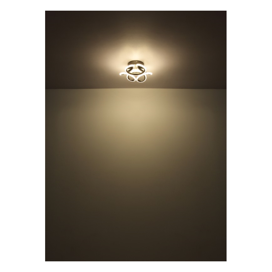 Globo - LED Οροφωτιστικό LED/24W/230V 2700/4000/6000K διάμ. 26 εκ. μαύρο