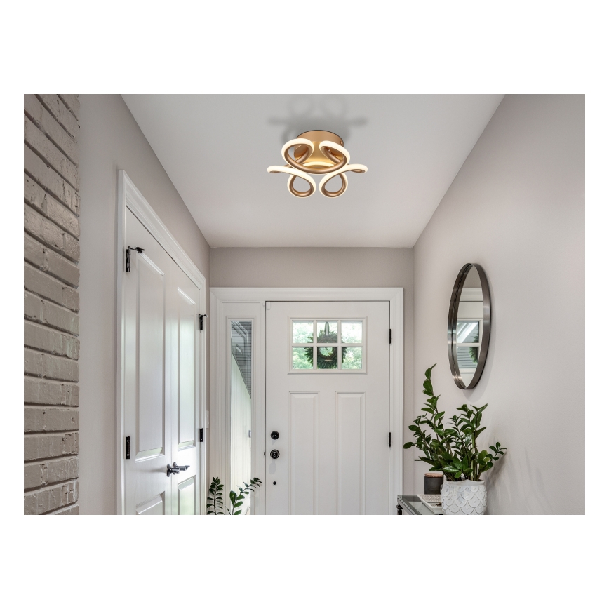 Globo - LED Οροφωτιστικό LED/24W/230V 2700/4000/6000K διάμ. 26 εκ. χρυσό