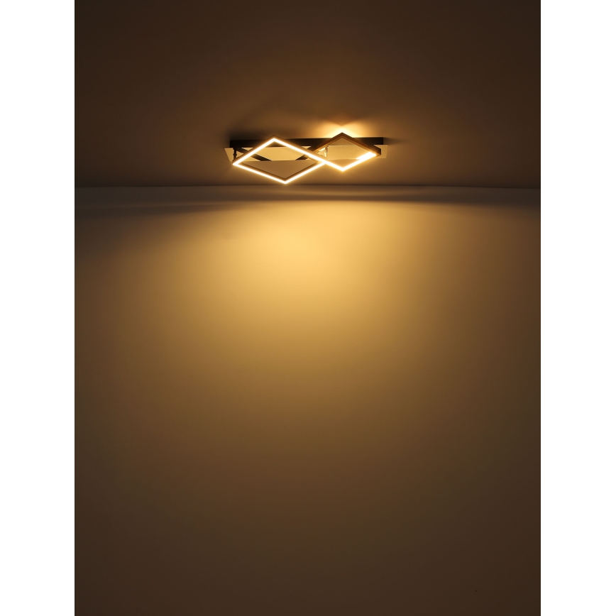 Globo - Φωτιστικό οροφής LED LED/24W/230V 3000K