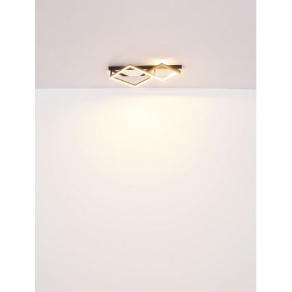 Globo - Φωτιστικό οροφής LED LED/24W/230V 3000K