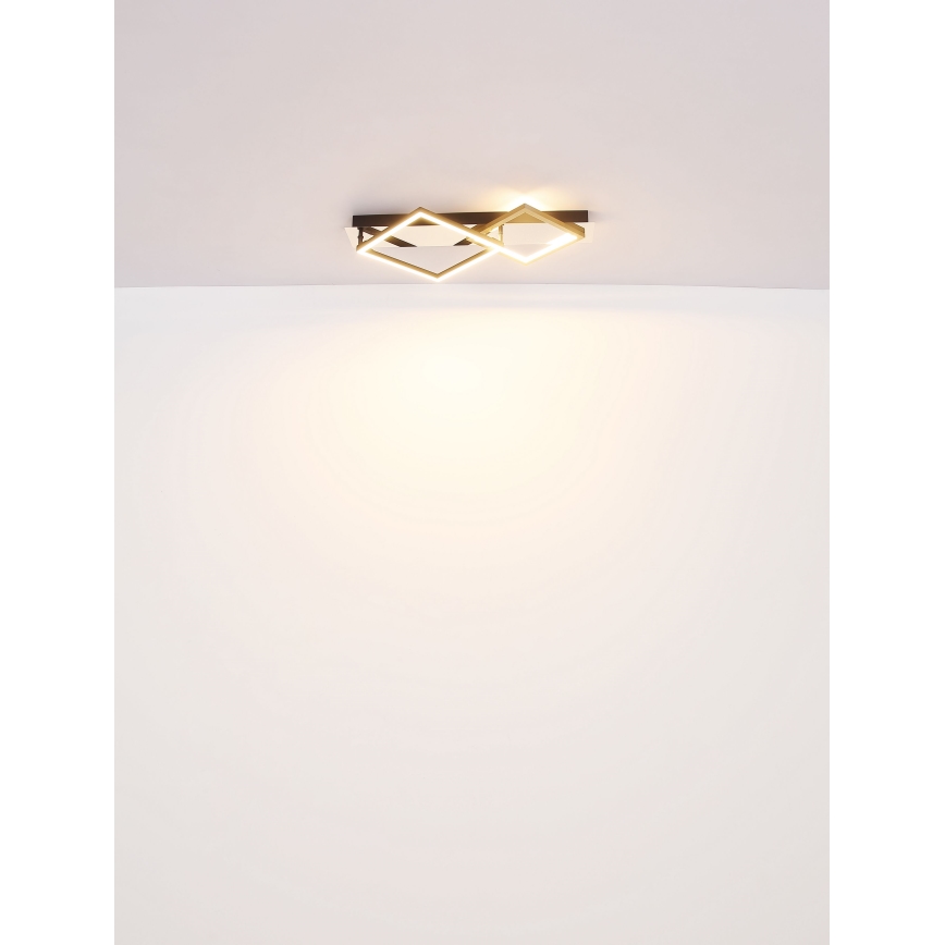 Globo - Φωτιστικό οροφής LED LED/24W/230V 3000K
