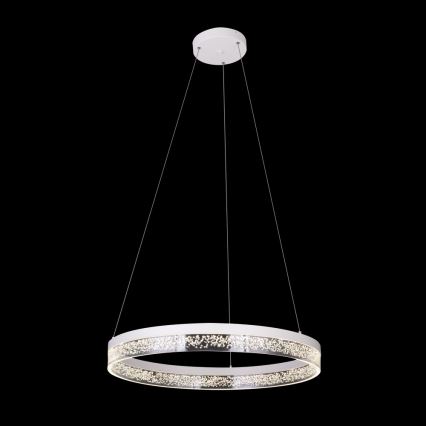 Globo - Πολύφωτο LED σε σχοινί 1xLED/36W/230V