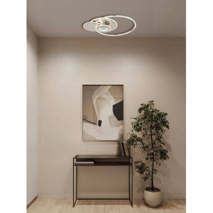Globo - Ρυθμιζόμενο φωτιστικό οροφής LED LED/24W/230V 2700-6500K ασημί + τηλεχειριστήριο