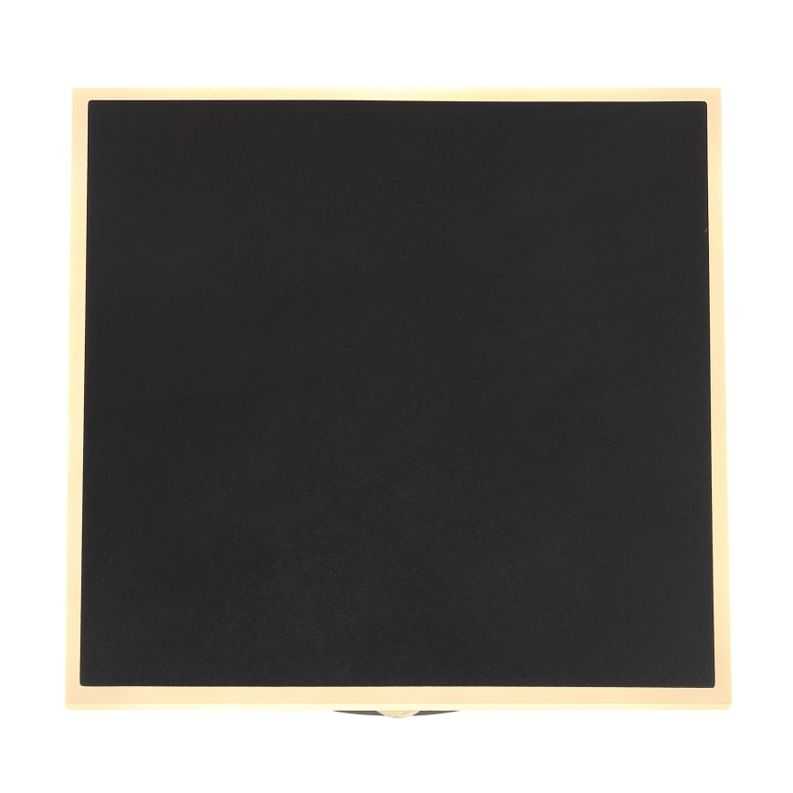 Globo - Φωτιστικό τοίχου LED LED/12W/230V