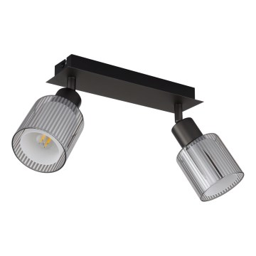 Globo - Φωτιστικό σποτ 2xE14/25W/230V