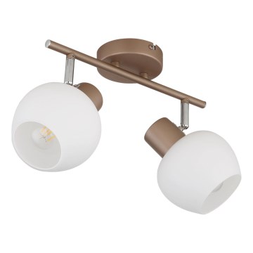 Globo - Φωτιστικό σποτ 2xE27/40W/230V