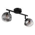 Globo - Φωτιστικό σποτ 2xG9/5W/230V